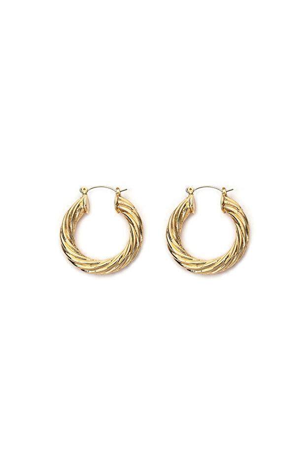 Metal Ring Earring - 2