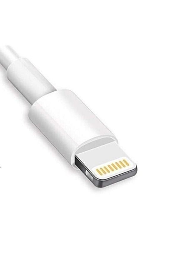 Type-c 6 Amper Hızlı Şarj ve Data Kablosu 1 m Apple İphone Uyumlu - 3