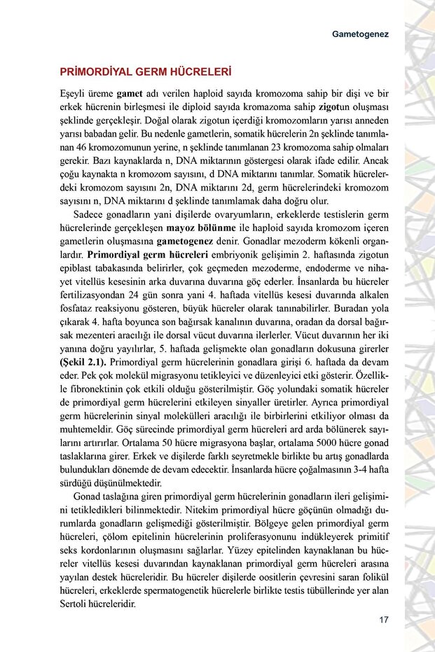 Embriyoloji - Mukaddes Eşrefoğlu 9786257849371 - 4
