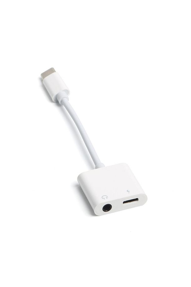 2 in 1 Type-C - 3.5mm Aux Ses ve Type-C Şarj Dönüştürücü (DK-AC-U31XAUC) - 2