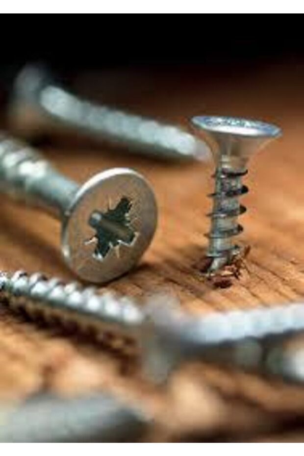 Sunya Vidası 5x40 200 Adet - 3