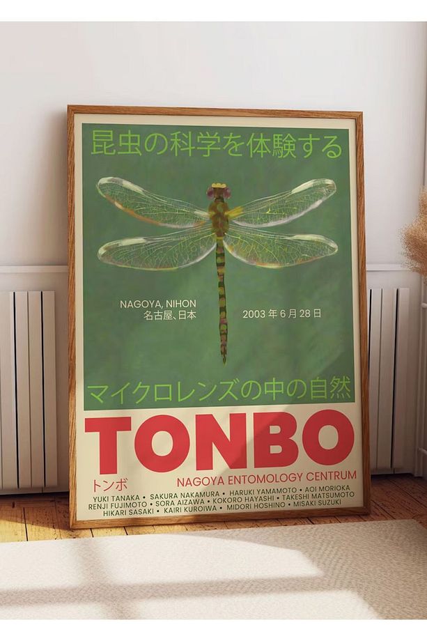 Kağıt Poster Tonbo Yusufçuk Dragonfly Delight Classy Şans Luck - 1