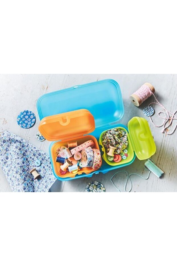 صندوق غداء أويستر - 2