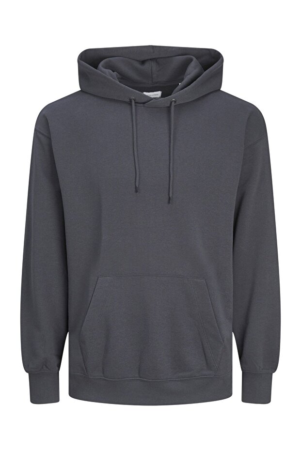 Sweatshirt - Gri - 2