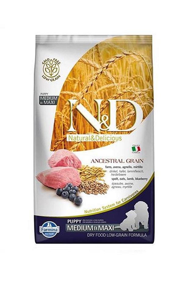 Az Tahıllı Kuzulu Orta Ve Büyük Irk Yavru Köpek Maması 2,5 Kg - 1
