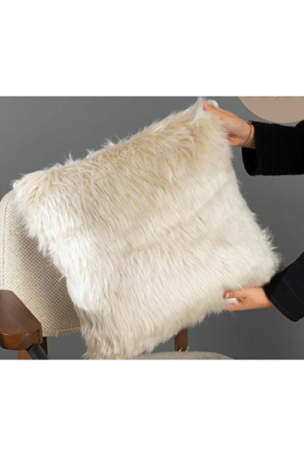 Plush Throw Pillow Case