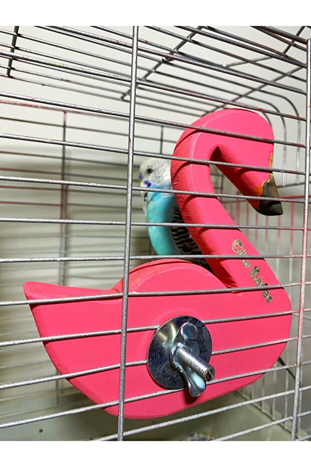 جثم طائر عاكس بنمط فلامنغو - 6