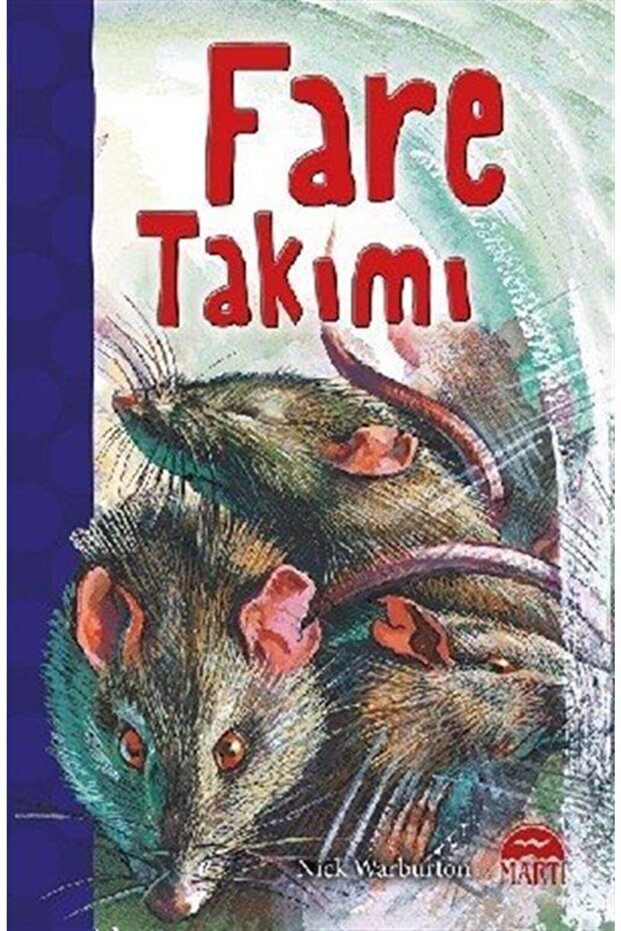 Fare Takımı