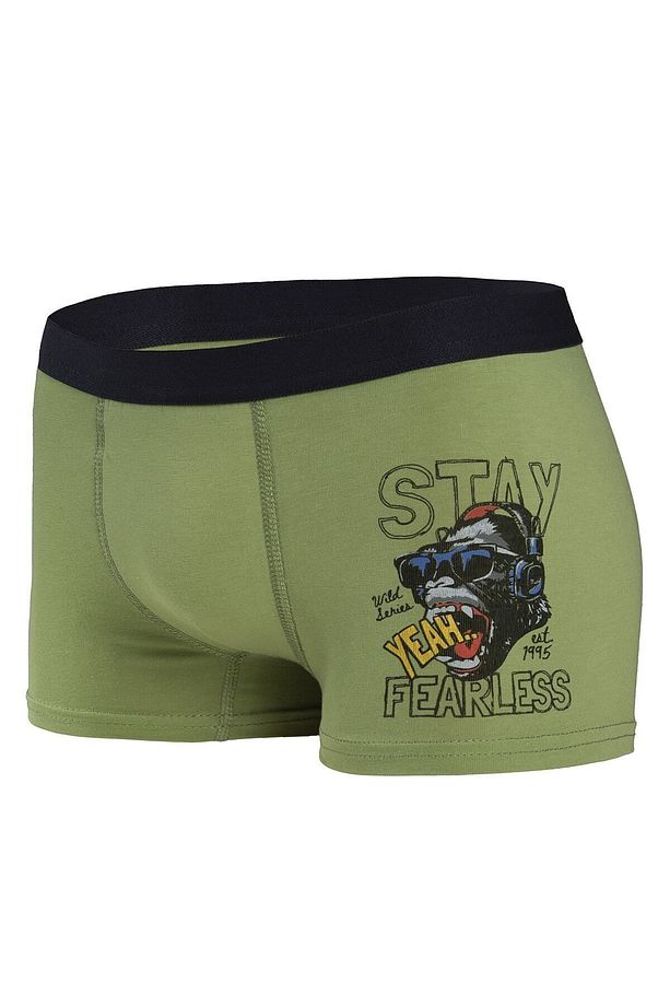 5'li Erkek Çocuk Boxer %90pamuk %10elastan - 6