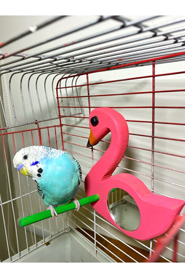 جثم طائر عاكس بنمط فلامنغو - 5