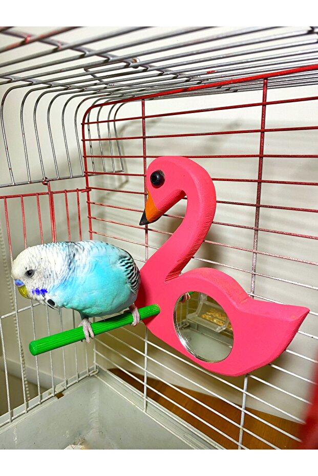 جثم طائر عاكس بنمط فلامنغو - 3