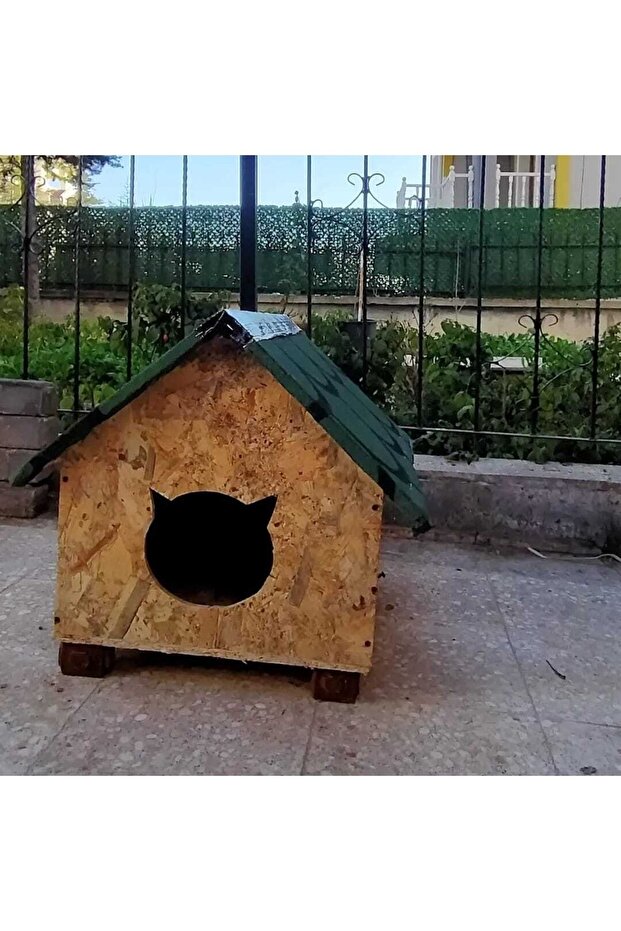 Kedi Kulübesi Şıngıllı - 2