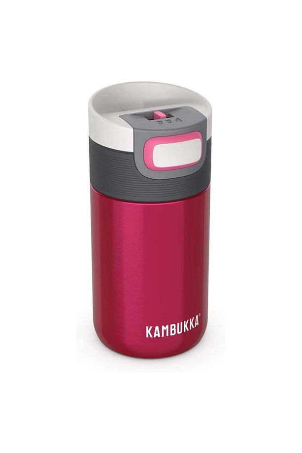 Etna 300ml Raspberry Termos - 2