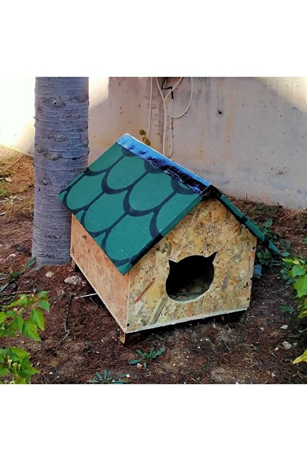 Kedi Kulübesi Şıngıllı - 4