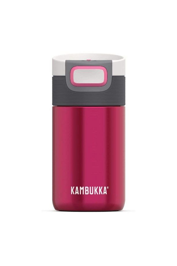 Etna 300ml Raspberry Termos - 1