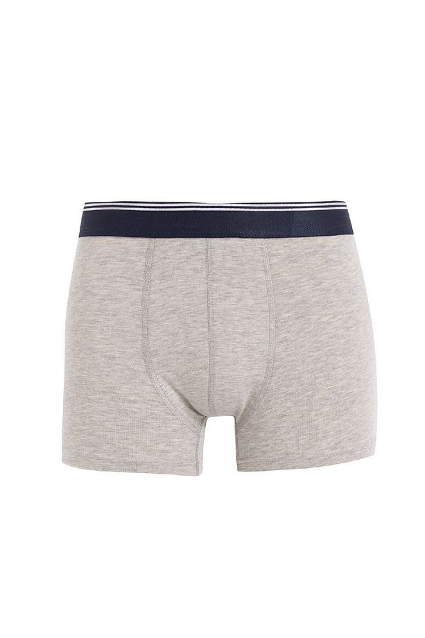 Regular Fit 3'lü Boxer D7505ax24au - 5