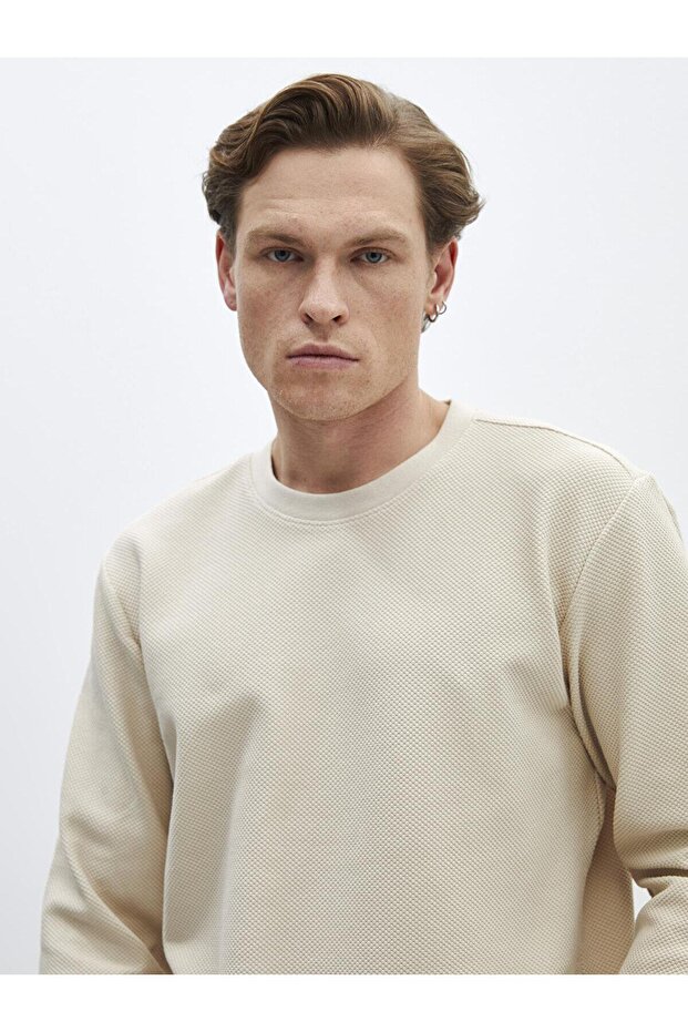 LCW Casual Bisiklet Yaka Uzun Kollu Erkek Sweatshirt - 2