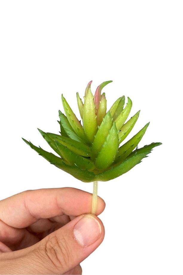 Yapay Sukulent Kaktüs - 1