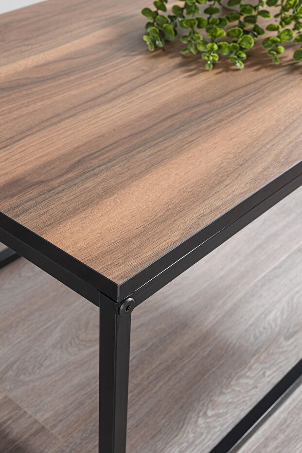 Aria Demonte Orta Sehpa - 3