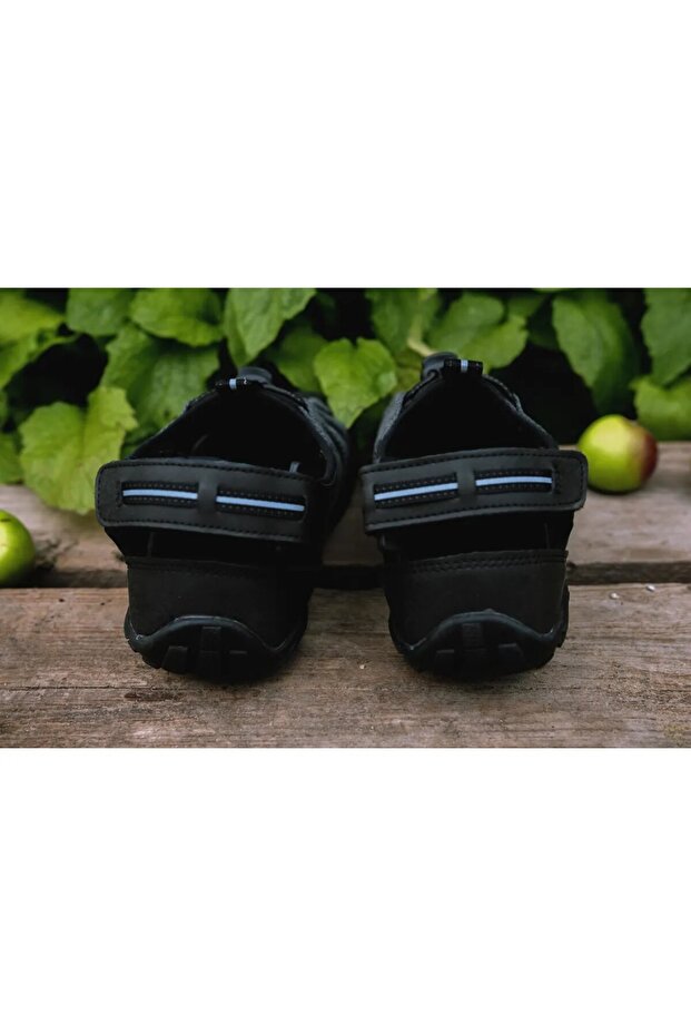 Rock Spring Altera rsa102 - 3