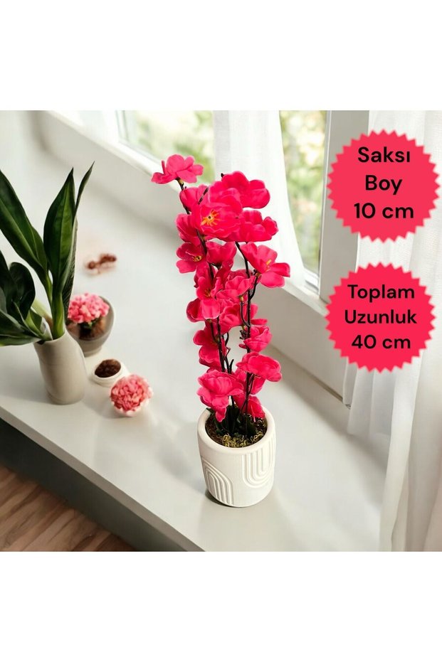 Artificial Japanese Cherry Blossom with Real Stone Moss in Concrete Flower Pot,Flower Pot ,Arrangement , Home Decoration,