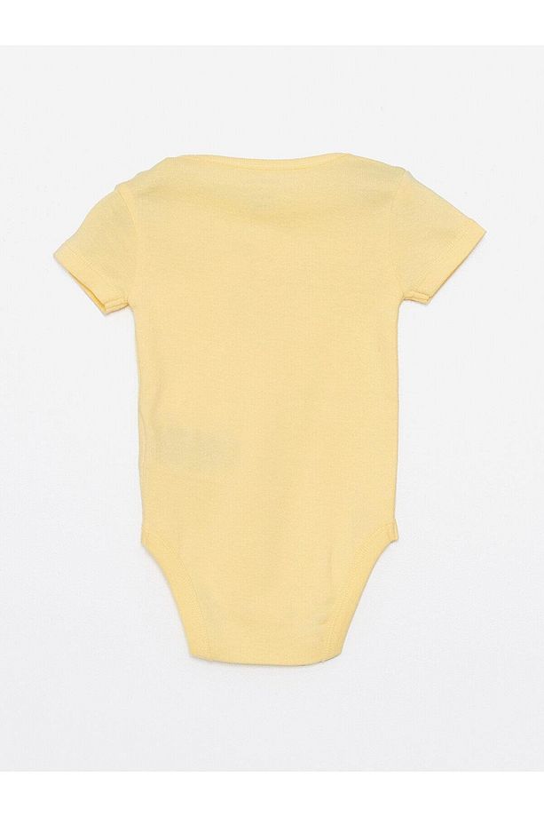LCW baby Bisiklet Yaka Kısa Kollu Kız Bebek Çıtçıtlı Body ve Pantolon 2'li Takım - 3
