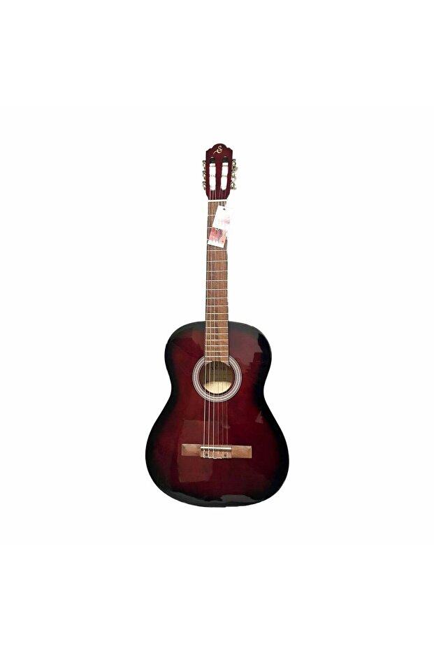 4/4 Gül Klavyeli Gitar - 1