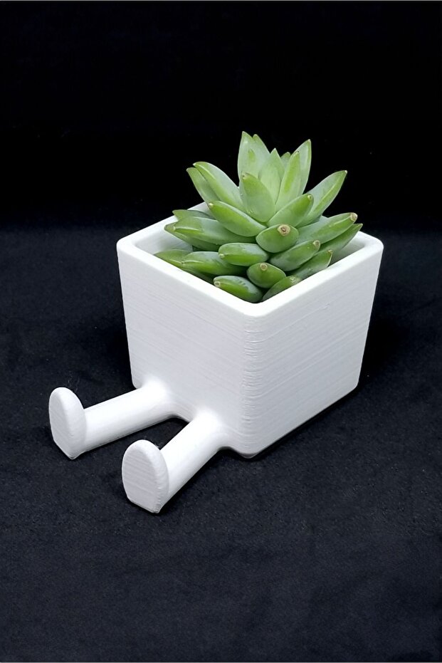 Dekoratif Tasarımlı Saksı B0000001 - 1