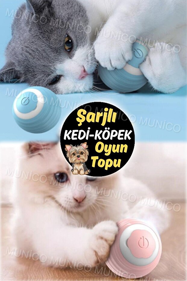 Quiet Study Mode for Training - Automatic Moving Kitten Toys - 2