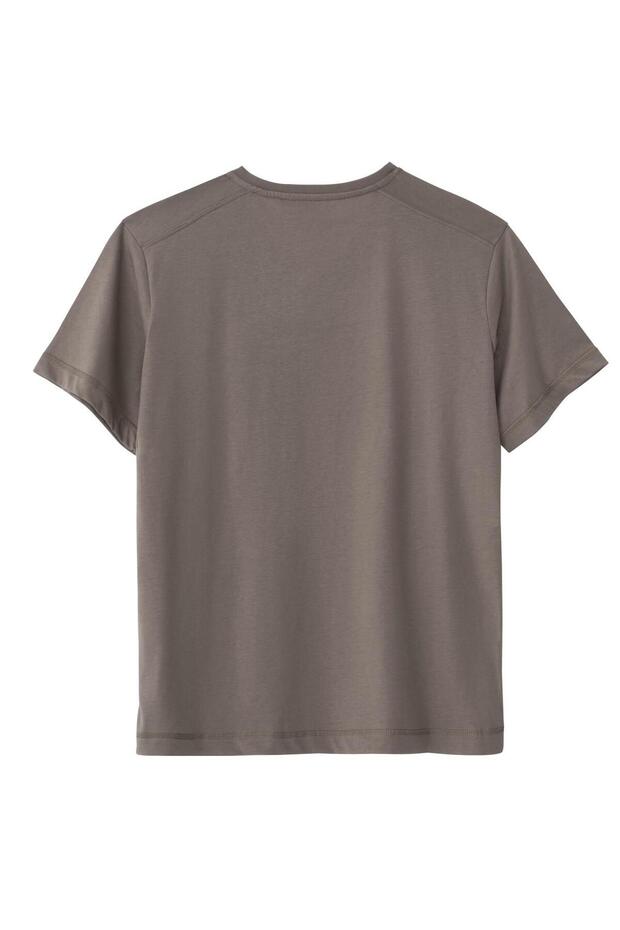 Regular V Yaka Tshirt - Vizon - 2