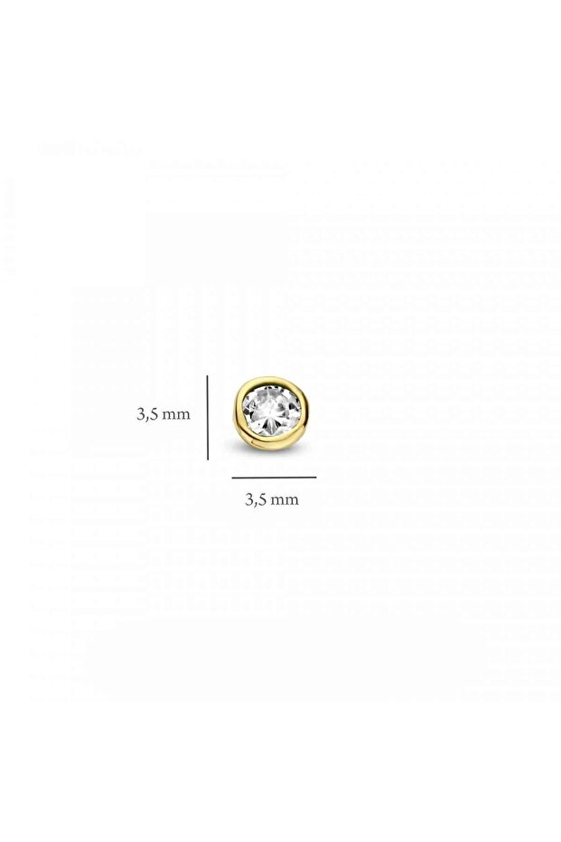 Tektaş Altın Küpe - 7