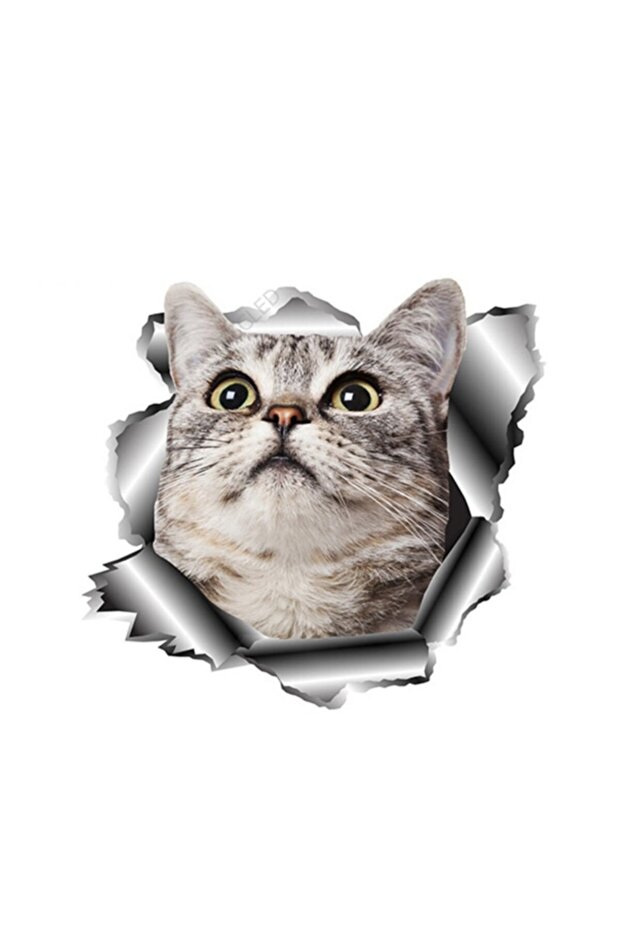 ملصق سيارة لطيف على شكل قطة - 1