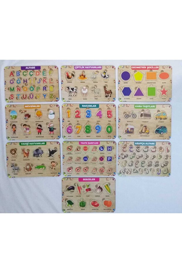 Wooden Puzzle Set of 10 Educational Toy