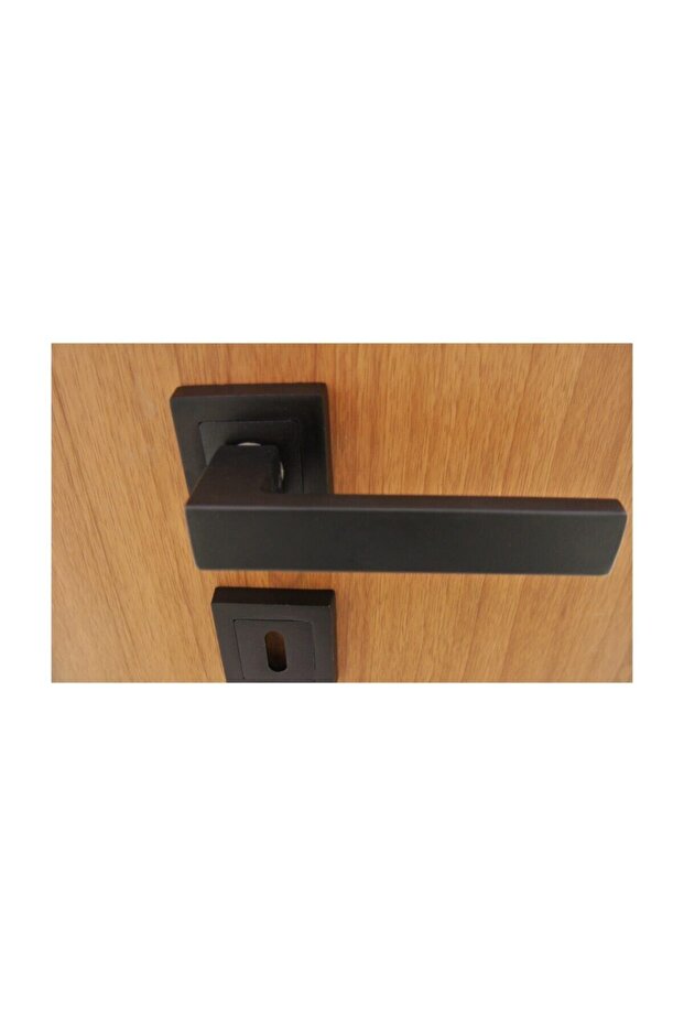 Zigana Mat Siyah Rozetli Kapı Kolu Oda - 4