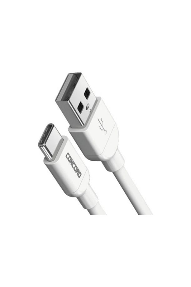 Type C Hızlı Şarj Ve Data Kablosu C-821 100 Cm Kablo - 2