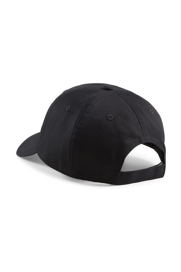 ESS Cap - 2