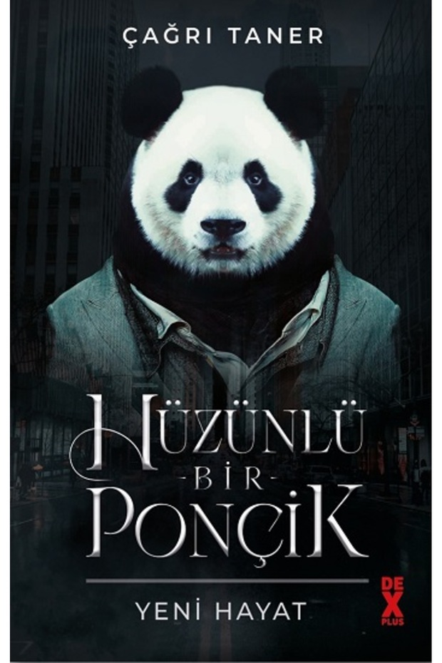Hüzünlü Bir Ponçik