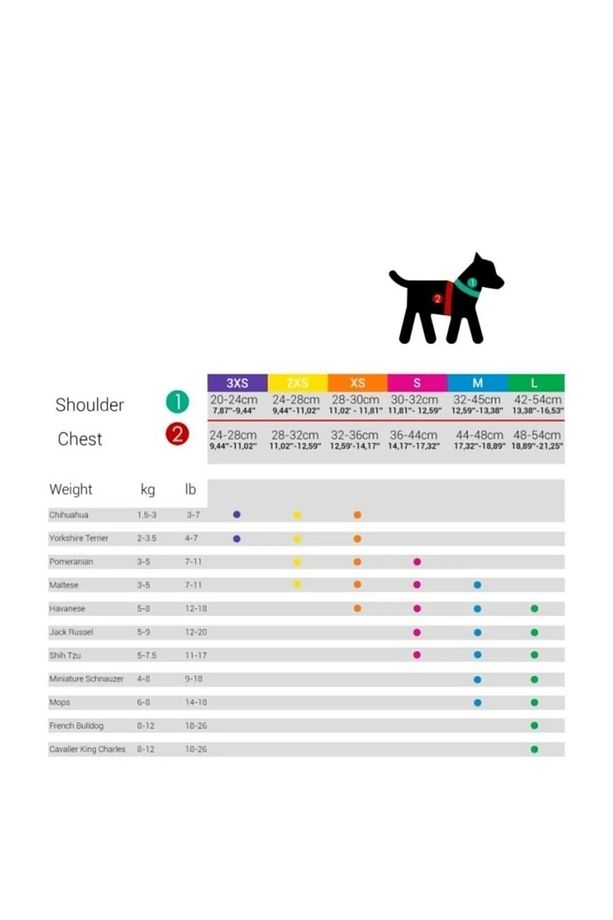 Köpek Göğüs Tasması Seti Kayış Yanında Gönderilir Köpek Gezdirme Tasması Köpek Tasması - 8