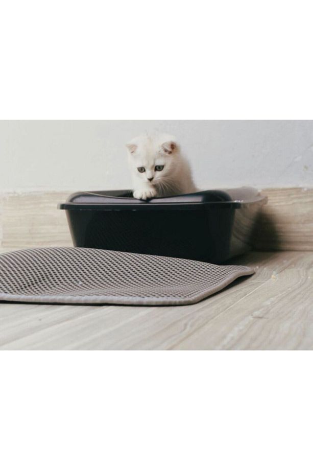 Elekli Kedi Tuvalet Önü Kedi Kum Paspası 1. Sınıf Materyal 40x60 - 3