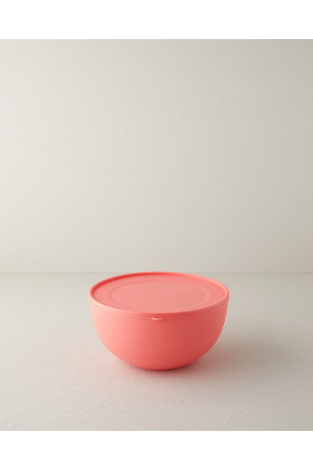 Blitz Plastic Storage Container 4 Lt Dusty Rose