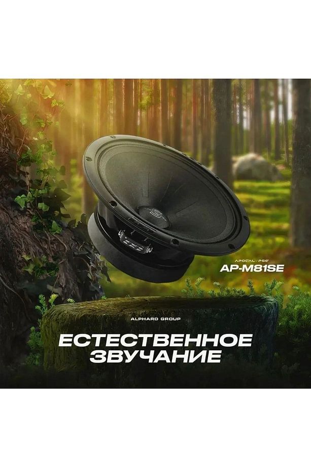 Deaf Bonce Ap-m81se Sylvester 20 Cm 340w 170rms Spl Midrange 1 Takım 2 Adet - 3