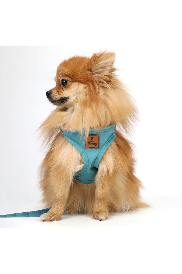 Köpek Göğüs Tasması Seti Kayış Yanında Gönderilir Köpek Gezdirme Tasması Köpek Tasması - 1