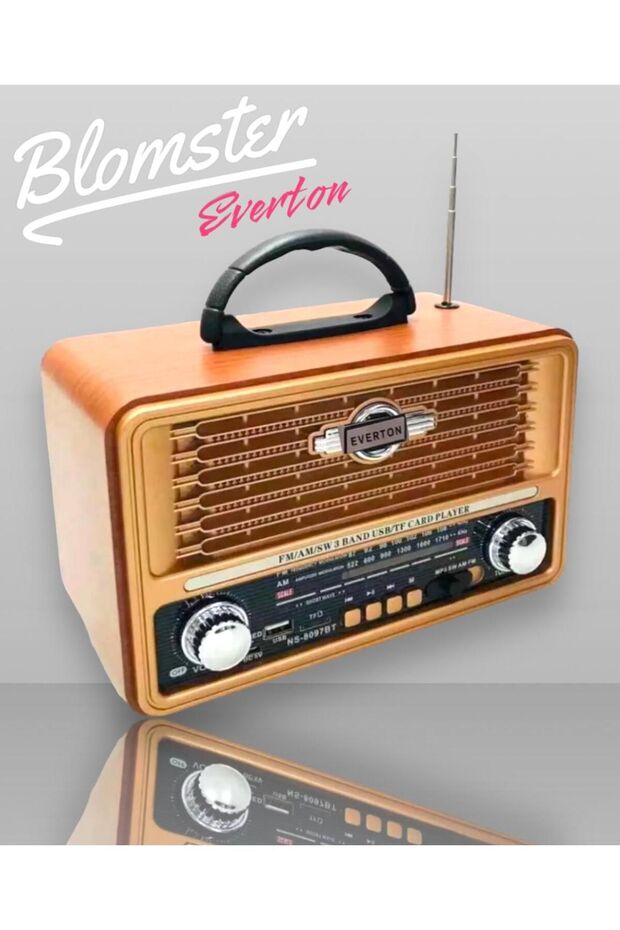 Everton Rt-8097bt Bluetooth Nostajık Müzik Çalar Usb/sd/aux/fm Radyo Nostajik Müzik Kutusu - 1