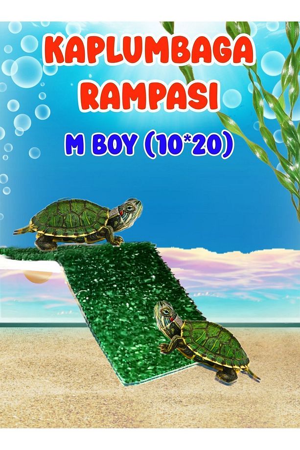 M Boy / Kaplumbağa Rampası & Kaplumbağa Yemi Seti Zemin Tipi'dir. - 1