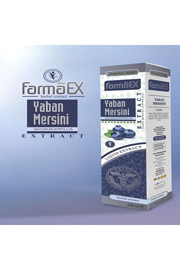 Yaban Mersini Sıvı Ekstresi Ekstraktı - 250 ml - Blueberry - 1