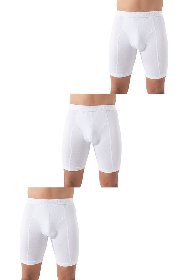 3'lü Paket Uzun Paçalı Likralı Boxer 2367 - 3