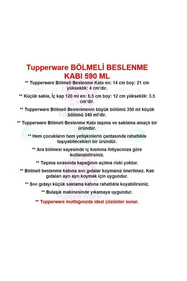 Bölmeli Beslenme Kutusu 590 Ml+ 120 Ml Saklama Kabı Hsgl - 2
