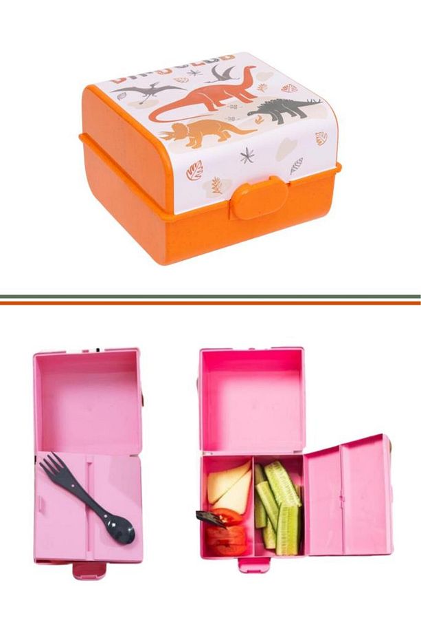 Flosoft Dino Club Matara ve Beslenme Kutusu, Desenli 3 Bölmeli Okul Beslenme Kabı ve Suluğu 2’li Set - 2