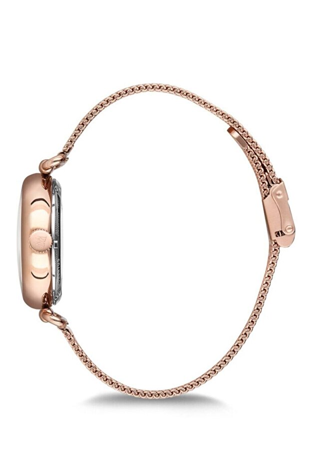 Kadın Bronz Kol Saati Cw280r-02sr - 2