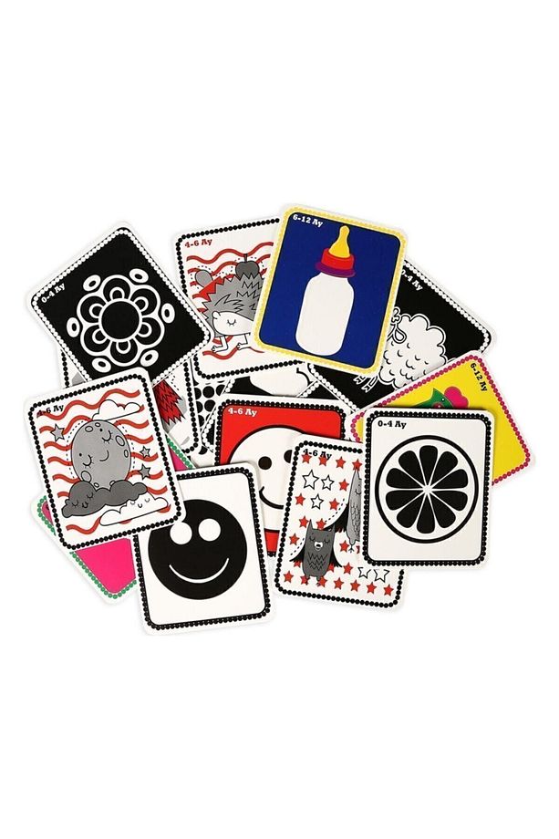 Flash Cards İlk 50 Sözcük + Bebeğimin İlk Zeka Kartları / 93509 - 3